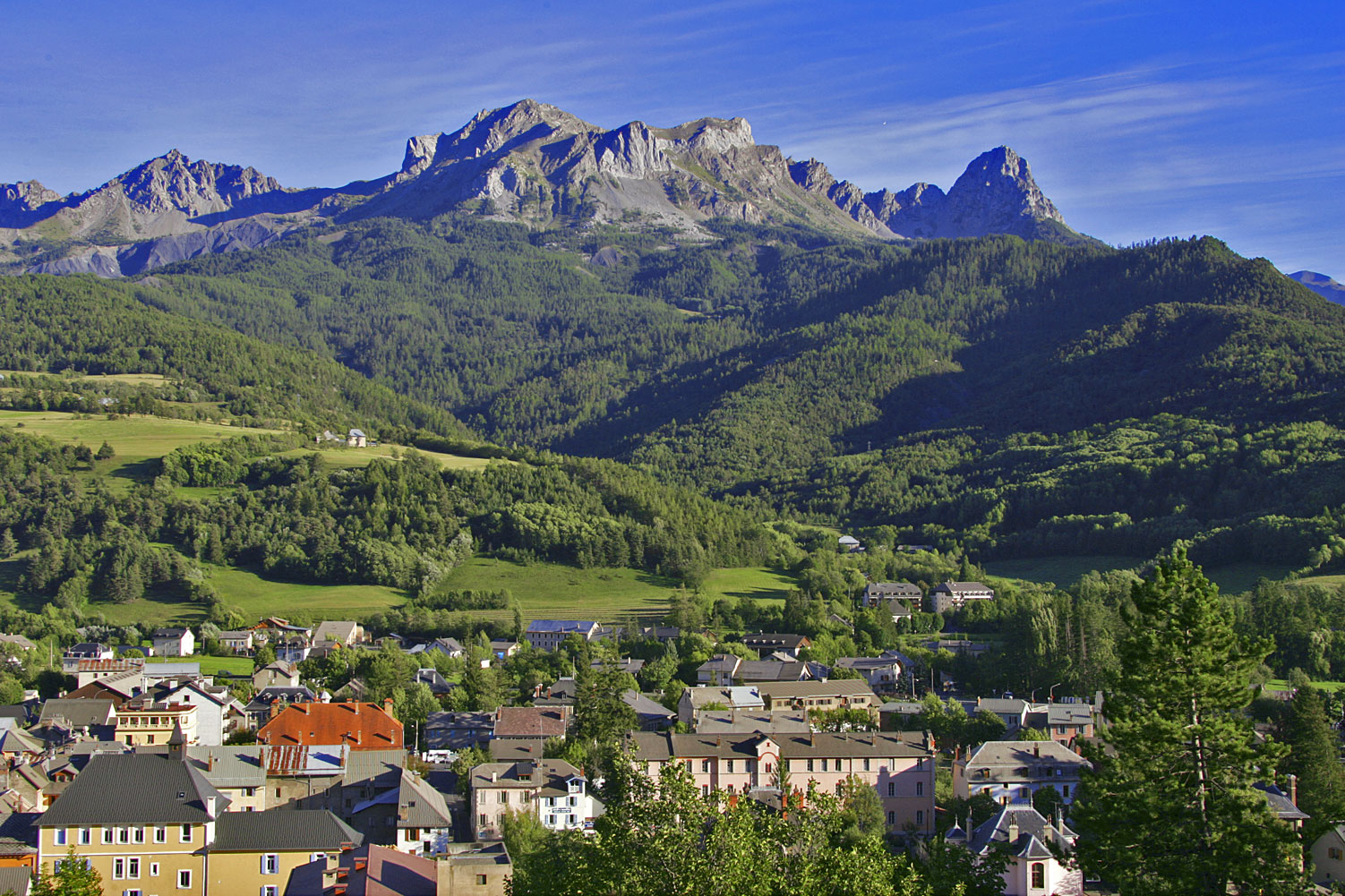 Unter der üppigen Sonne der <br>Alpen in der Haute Provence